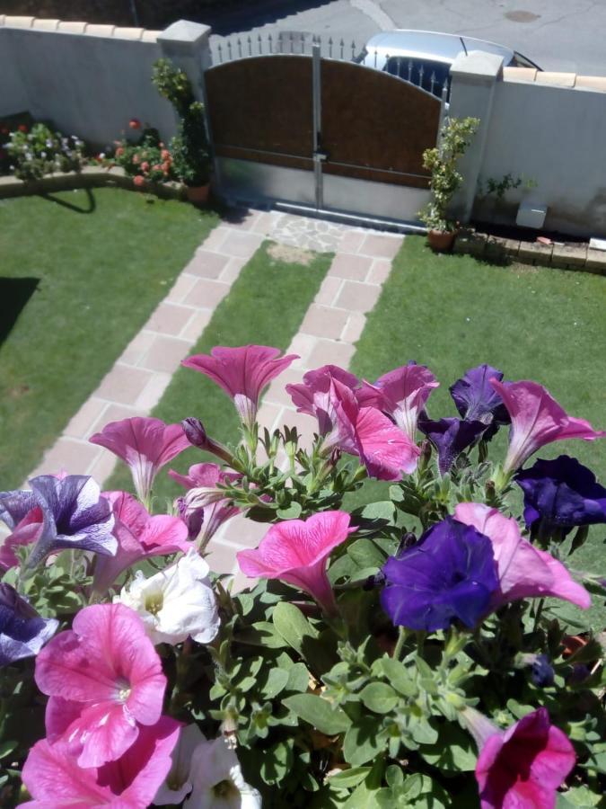 דירות Villa San Pietro Casa Rosa Dei Venti מראה חיצוני תמונה